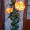 Пользователь